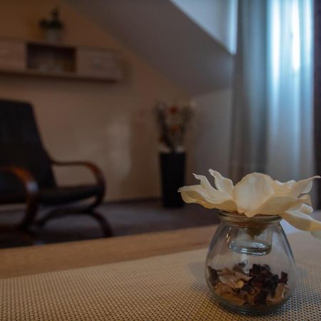 Hotel Pizzeria Istria Велке Лосіни Екстер'єр фото